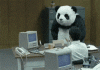 panda_.gif