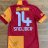 WesleySneijder10